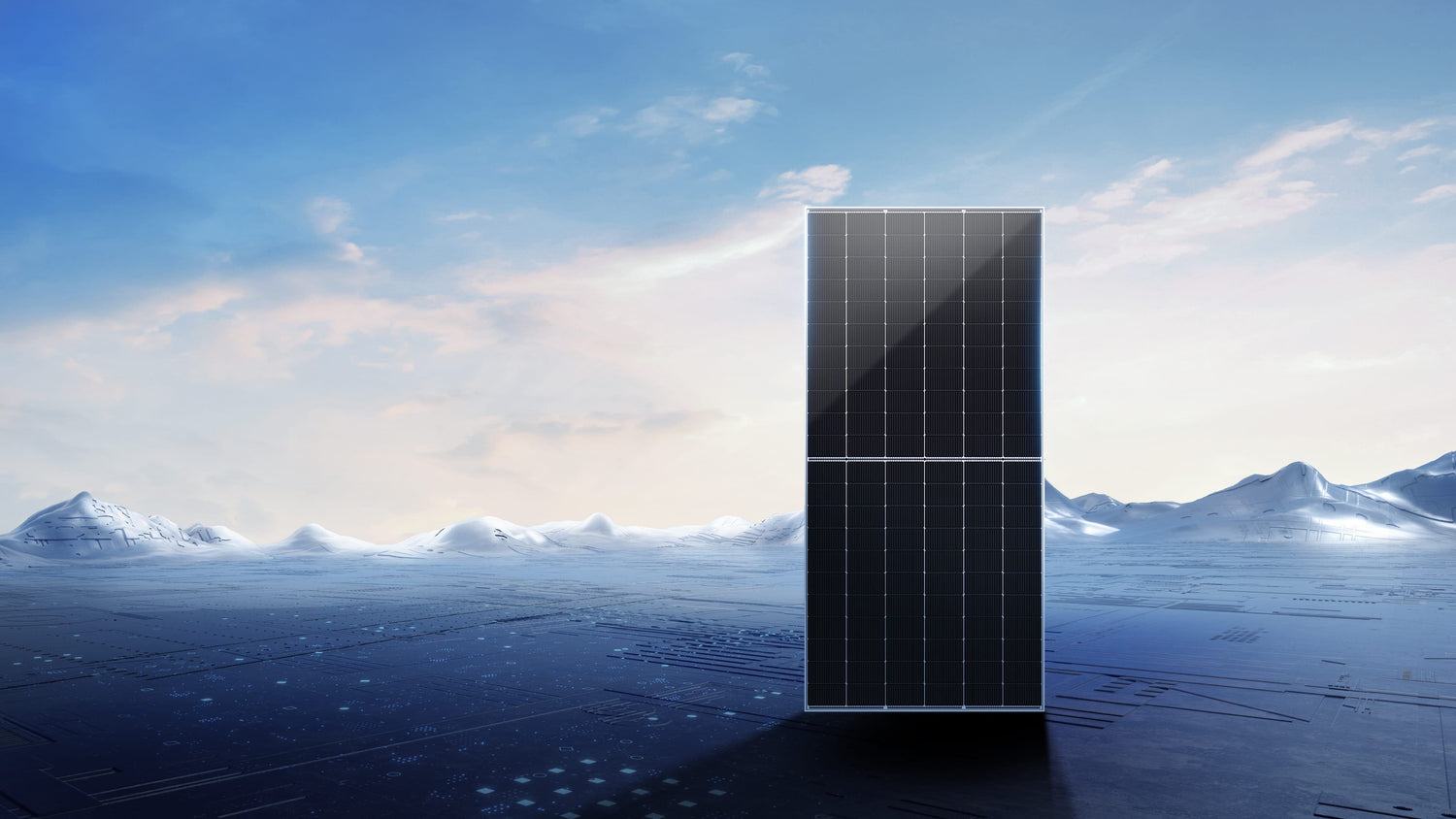Trina Solar Vertex N TSM-635NEG19RC.20 635 W bifacciale